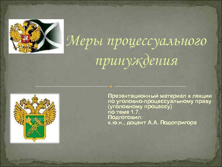 Меры процессуального принуждения Презентационный материал к лекции по уголовно-процессуальному праву (уголовному процессу) по теме