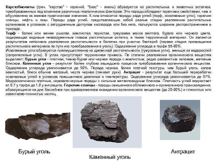 Каустобиолиты (греч. "каустоо" - горючий, "биос" - жизнь) образуются из растительных и животных остатков,