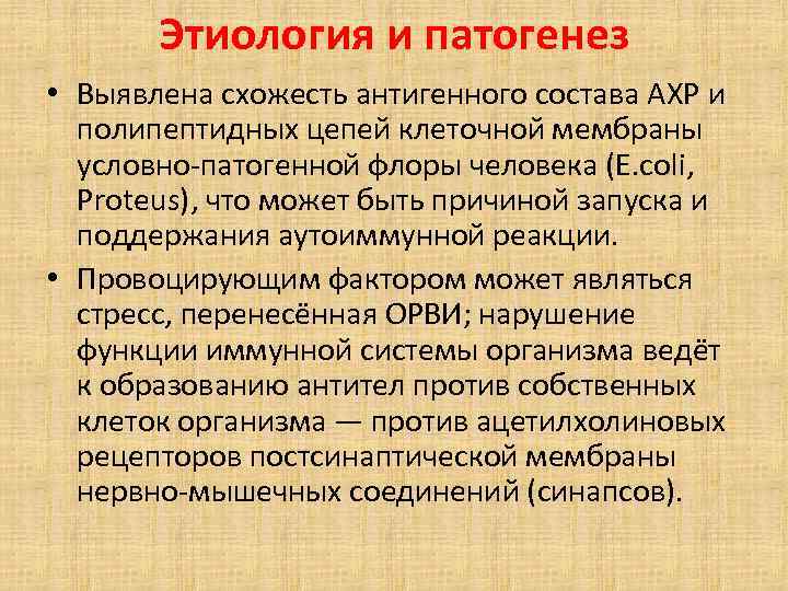 Этиология и патогенез • Выявлена схожесть антигенного состава АХР и полипептидных цепей клеточной мембраны