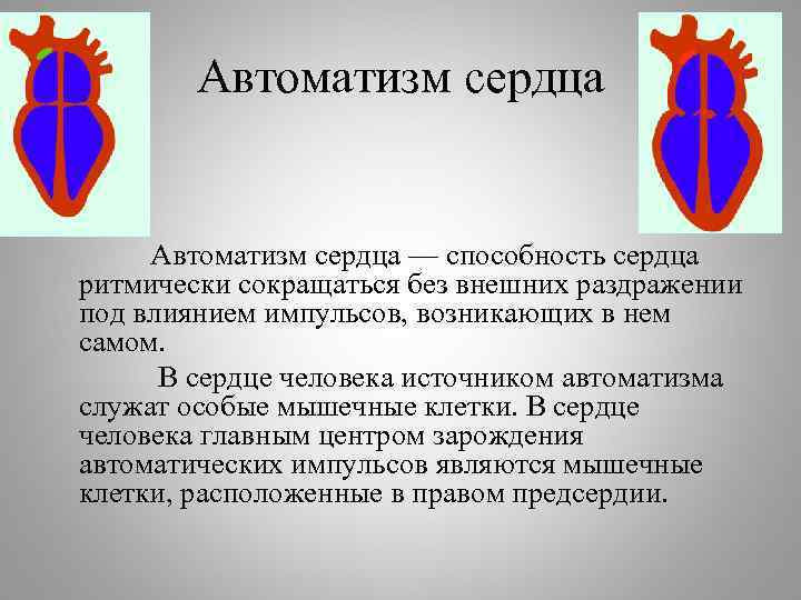 Автоматизм сердца — способность сердца ритмически сокращаться без внешних раздражении под влиянием импульсов, возникающих