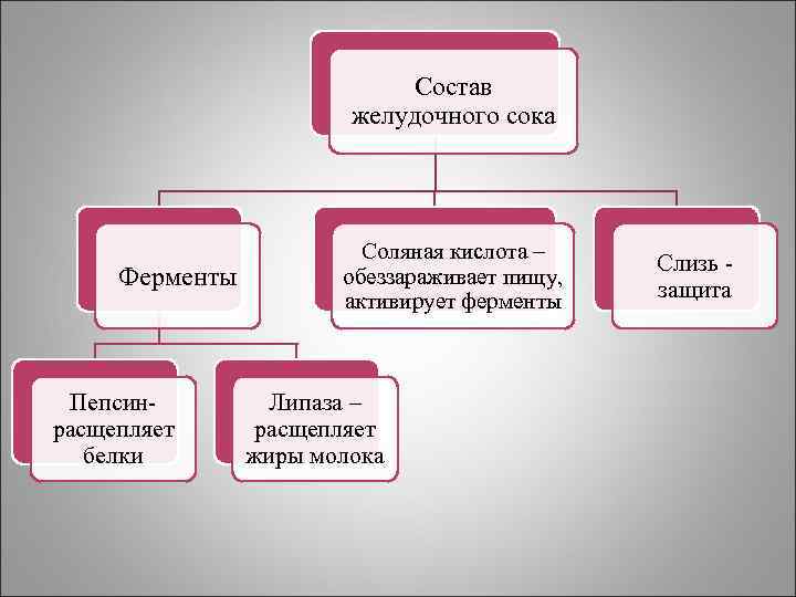 Желудочный сок состав. Состав желудочного сока. Состав желудочного сока человека. Вещества входящие в состав желудочного сока. Состав желудочного сока человека таблица.