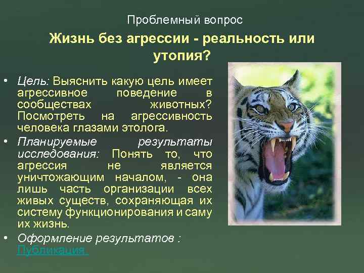 Проблемный вопрос Жизнь без агрессии - реальность или утопия? • Цель: Выяснить какую цель