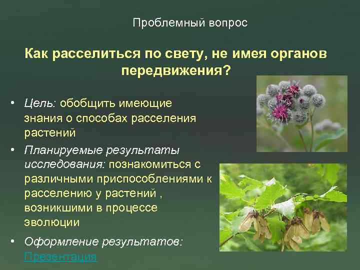 Проблемный вопрос Как расселиться по свету, не имея органов передвижения? • Цель: обобщить имеющие