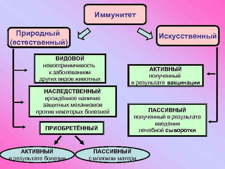 Иммунитет Природный (естественный) Искусственный ВИДОВОЙ невосприимчивость к заболеваниям других видов животных НАСЛЕДСТВЕННЫЙ врождённое наличие