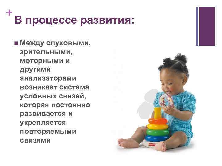 + В процессе развития: n Между слуховыми, зрительными, моторными и другими анализаторами возникает система