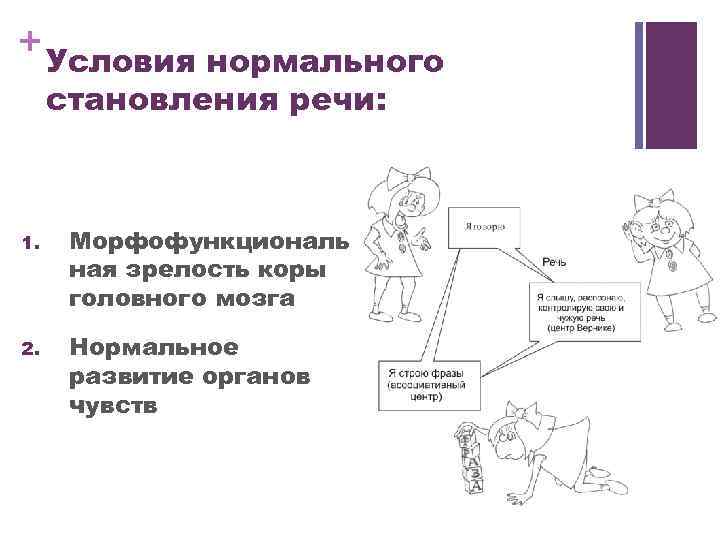 Становление речи анатомия.