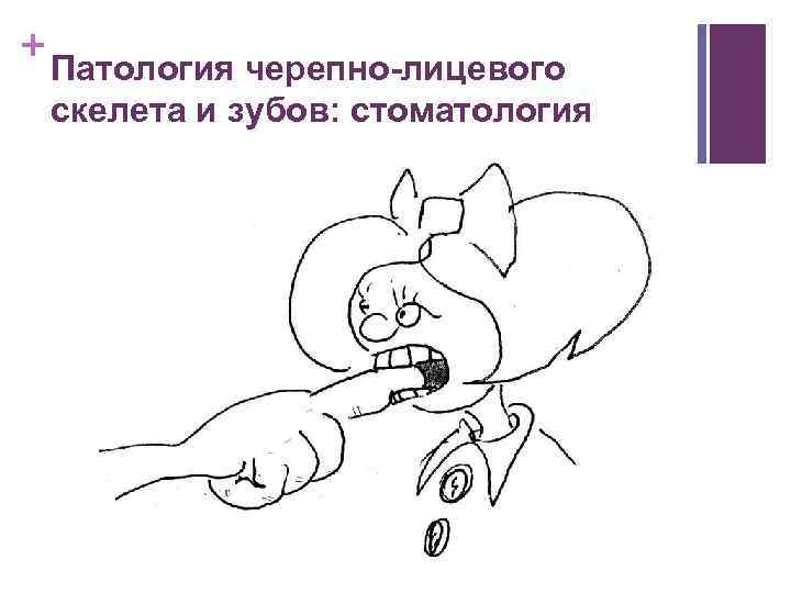 + Патология черепно-лицевого скелета и зубов: стоматология 