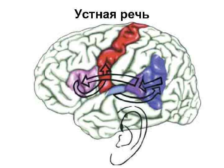 Устная речь 