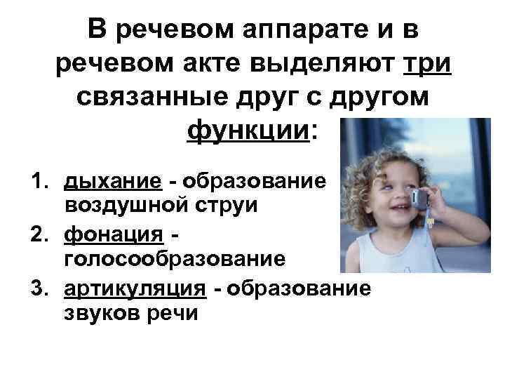 В речевом аппарате и в речевом акте выделяют три связанные друг с другом функции: