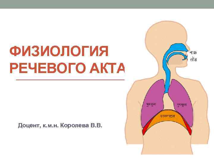 ФИЗИОЛОГИЯ РЕЧЕВОГО АКТА Доцент, к. м. н. Королева В. В. 