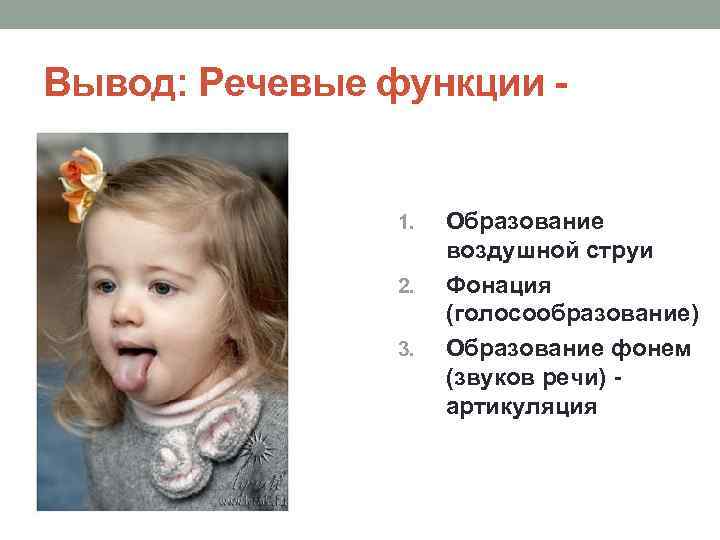 Вывод: Речевые функции - 1. 2. 3. Образование воздушной струи Фонация (голосообразование) Образование фонем