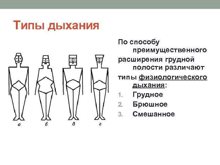 Типы дыхания По способу преимущественного расширения грудной полости различают типы физиологического дыхания: 1. Грудное