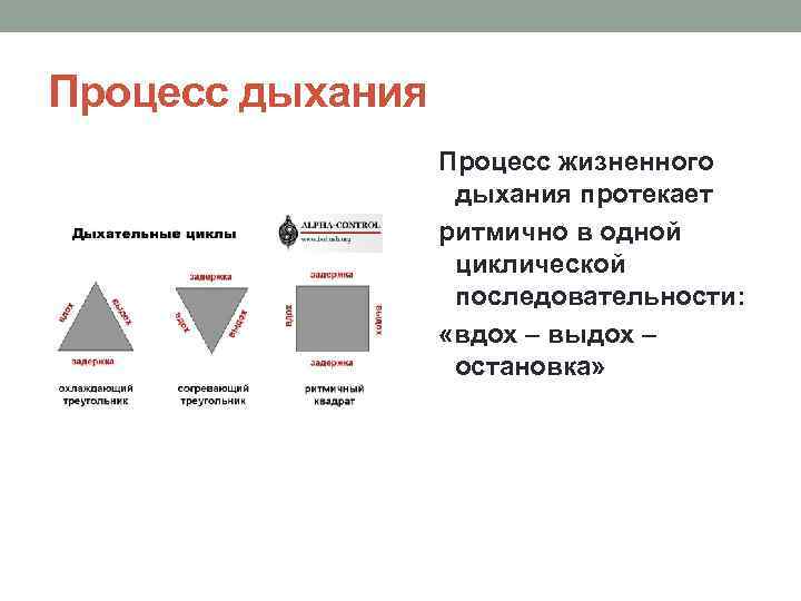 Процесс дыхания Процесс жизненного дыхания протекает ритмично в одной циклической последовательности: «вдох – выдох