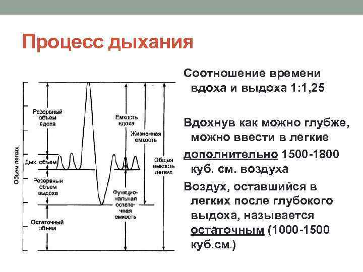 Процесс дыхания Соотношение времени вдоха и выдоха 1: 1, 25 Вдохнув как можно глубже,