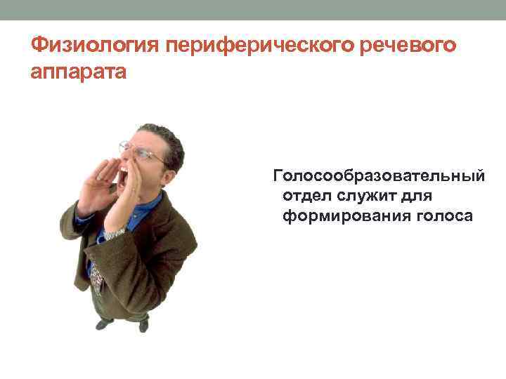 Физиология периферического речевого аппарата Голосообразовательный отдел служит для формирования голоса 
