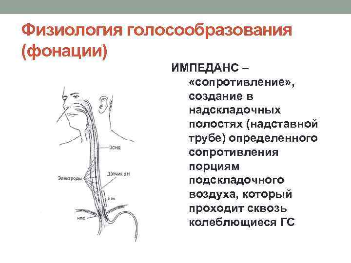 Физиология голосообразования (фонации) ИМПЕДАНС – «сопротивление» , создание в надскладочных полостях (надставной трубе) определенного