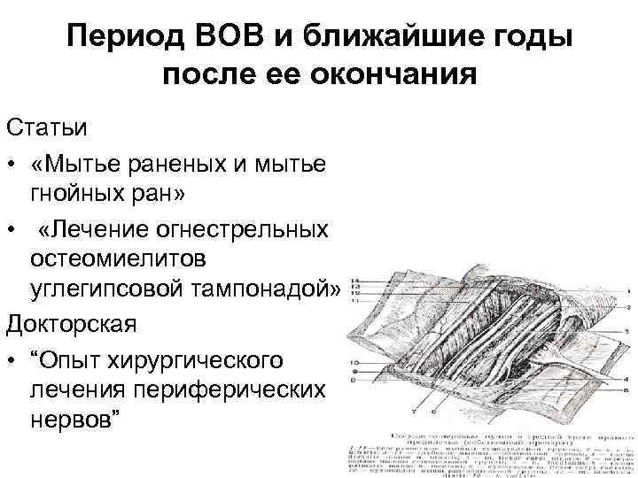 Период ВОВ и ближайшие годы после ее окончания Статьи • «Мытье раненых и мытье