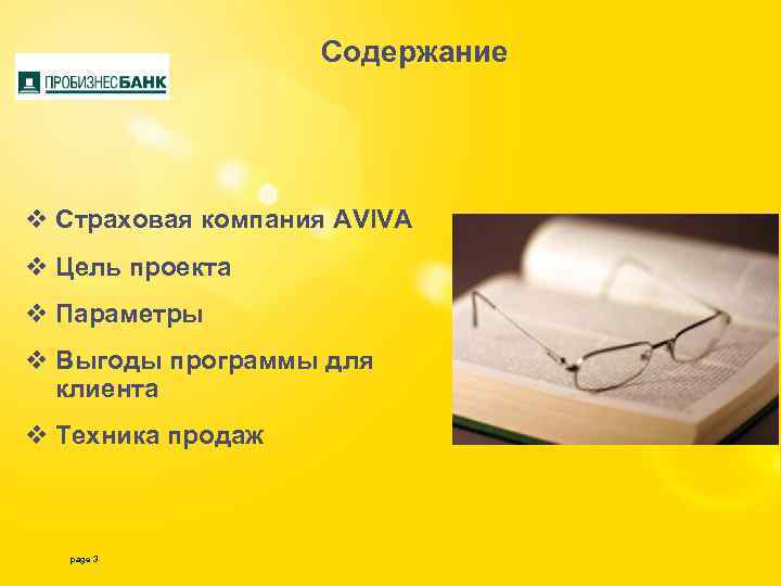 Содержание v Страховая компания AVIVA v Цель проекта v Параметры v Выгоды программы для