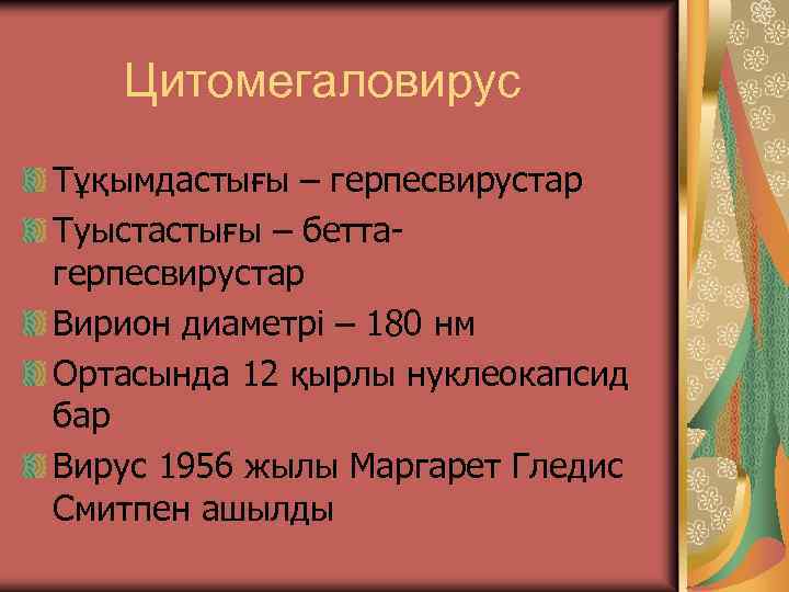 Цитомегаловирус Тұқымдастығы – герпесвирустар Туыстастығы – беттагерпесвирустар Вирион диаметрі – 180 нм Ортасында 12