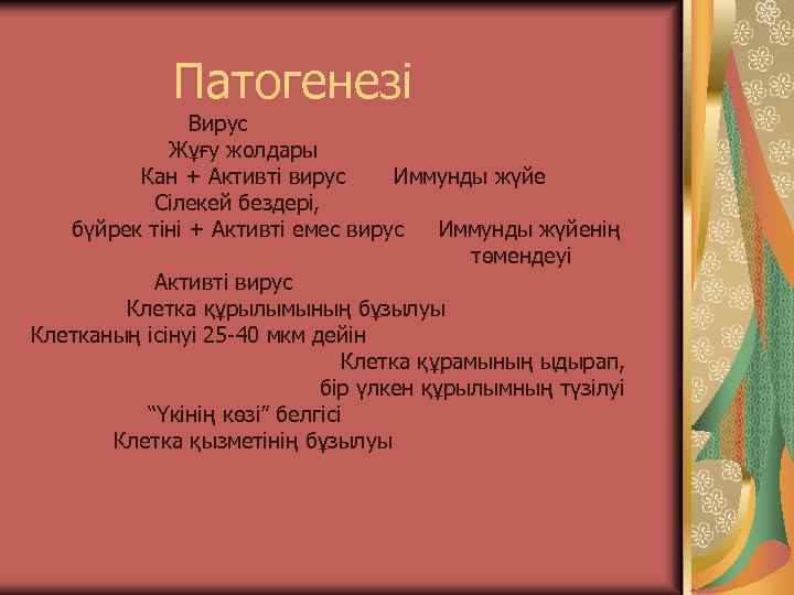 Патогенезі Вирус Жұғу жолдары Кан + Активті вирус Иммунды жүйе Сілекей бездері, бүйрек тіні