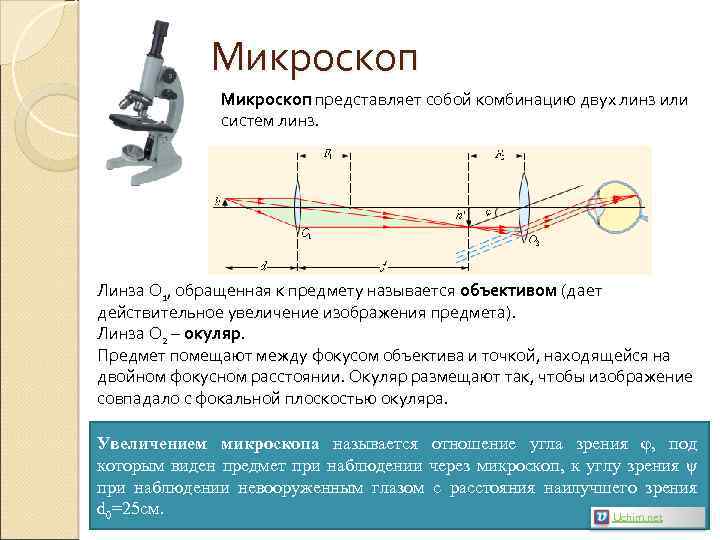 Микроскоп представляет собой комбинацию двух линз или систем линз. Линза О 1, обращенная к