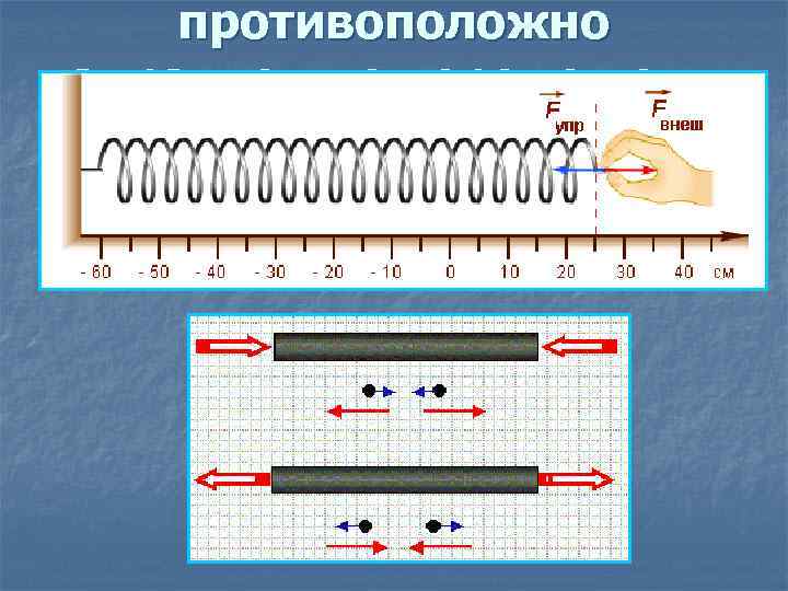 противоположно направлению перемещения частиц при деформации 