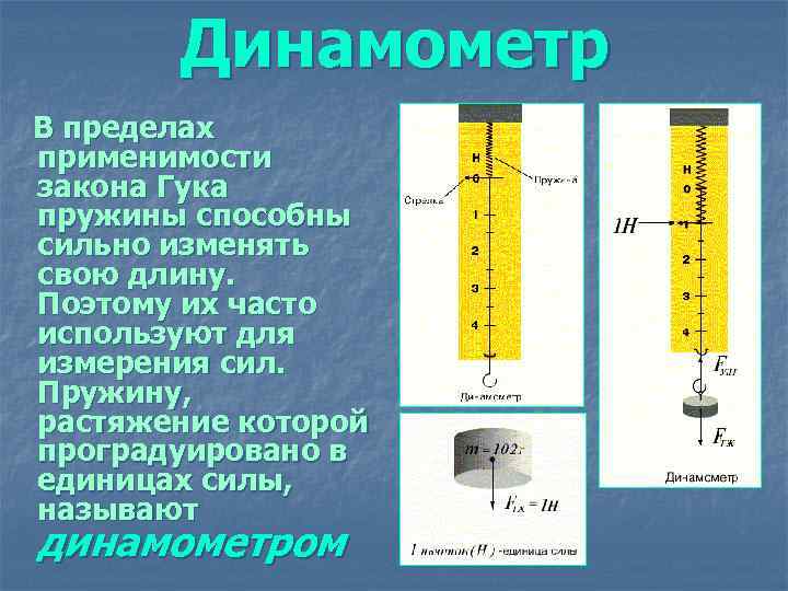 Динамометр В пределах применимости закона Гука пружины способны сильно изменять свою длину. Поэтому их