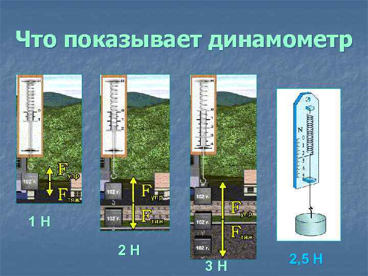 Что показывает динамометр 1 Н 2 Н 3 Н 2, 5 Н 