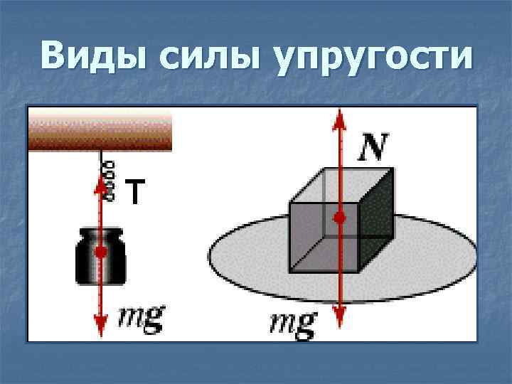 Виды силы упругости 