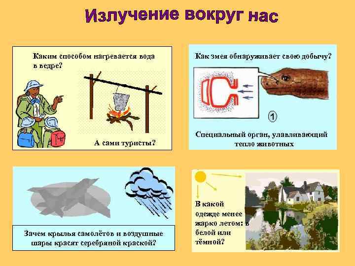 Каким способом нагревается вода в ведре? Как змея обнаруживает свою добычу? 1 А сами