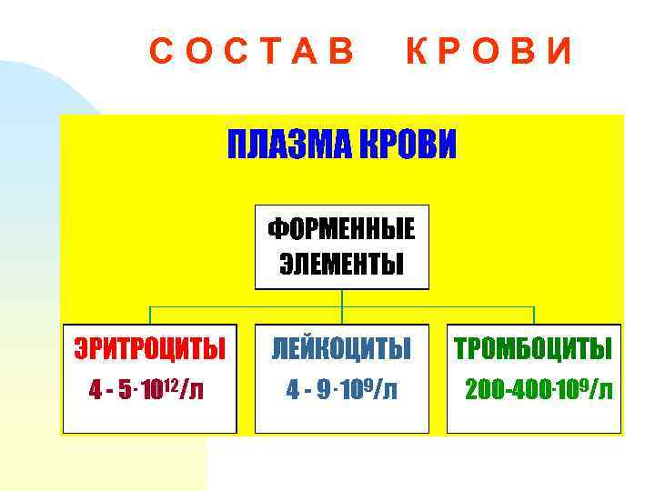 СОСТАВ 4 - 5. 1012/л 4 - 9. 109/л КРОВИ 200 -400. 109/л 