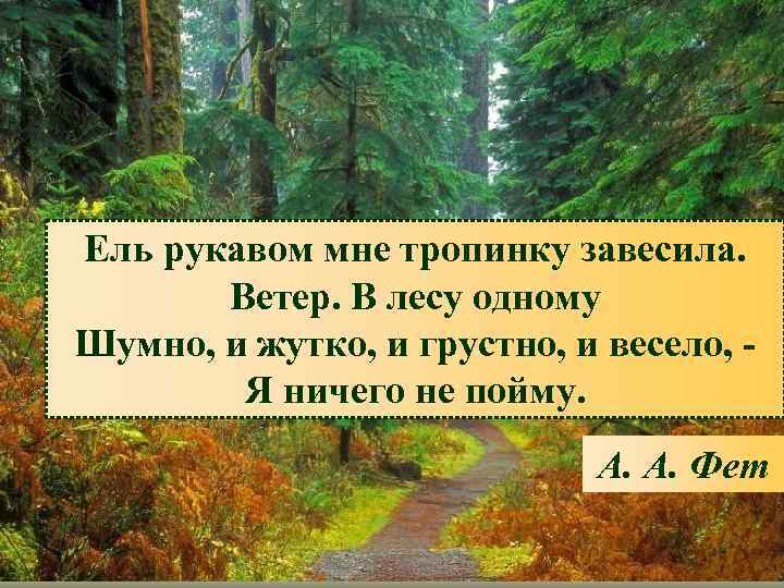 Ель рукавом мне тропинку завесила. Ветер. В лесу одному Шумно, и жутко, и грустно,