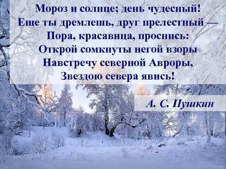 Мороз и солнце; день чудесный! Еще ты дремлешь, друг прелестный — Пора, красавица, проснись: