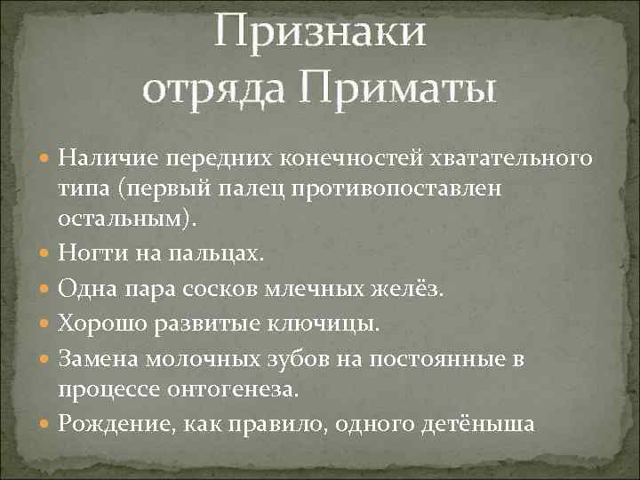 Признаки отряда Приматы Наличие передних конечностей хватательного типа (первый палец противопоставлен остальным). Ногти на