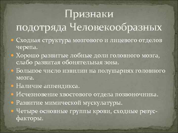 Признаки подотряда Человекообразных Сходная структура мозгового и лицевого отделов черепа. Хорошо развитые лобные доли