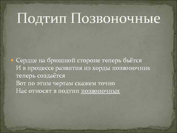 Подтип Позвоночные Сердце на брюшной стороне теперь бьётся И в процессе развития из хорды