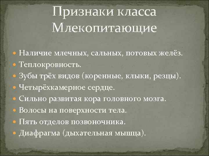 Признаки класса Млекопитающие Наличие млечных, сальных, потовых желёз. Теплокровность. Зубы трёх видов (коренные, клыки,