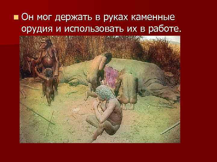 n Он мог держать в руках каменные орудия и использовать их в работе. 