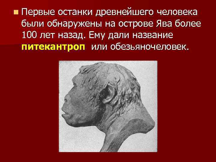 n Первые останки древнейшего человека были обнаружены на острове Ява более 100 лет назад.