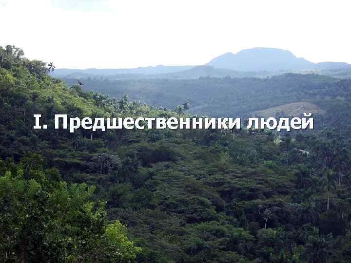 I. Предшественники людей 