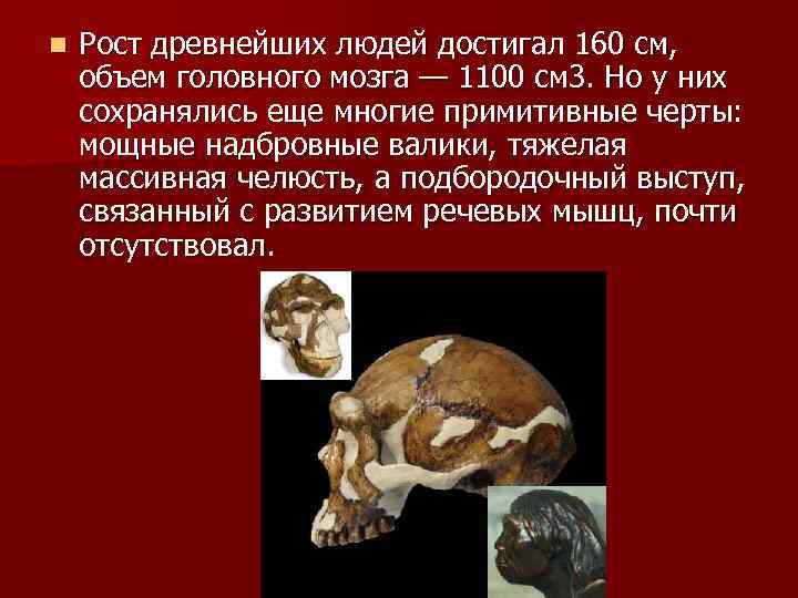 n Рост древнейших людей достигал 160 см, объем головного мозга — 1100 см 3.