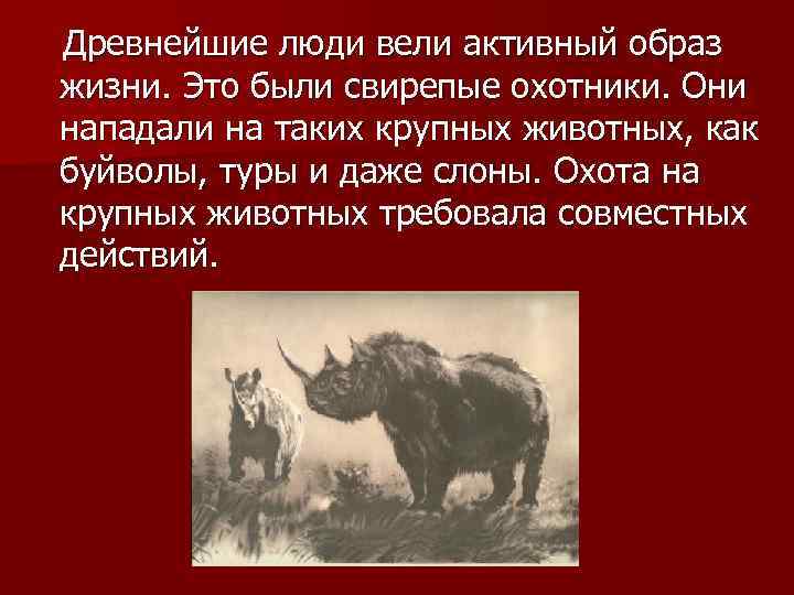 Древнейшие люди вели активный образ жизни. Это были свирепые охотники. Они нападали на таких