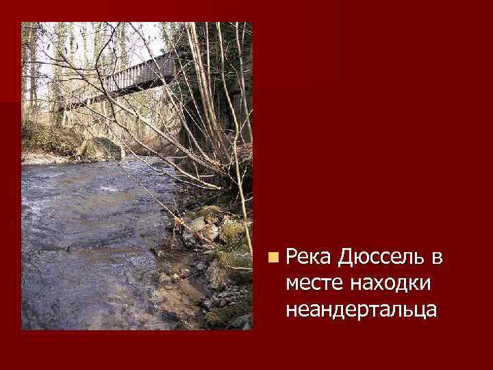 n Река Дюссель в месте находки неандертальца 