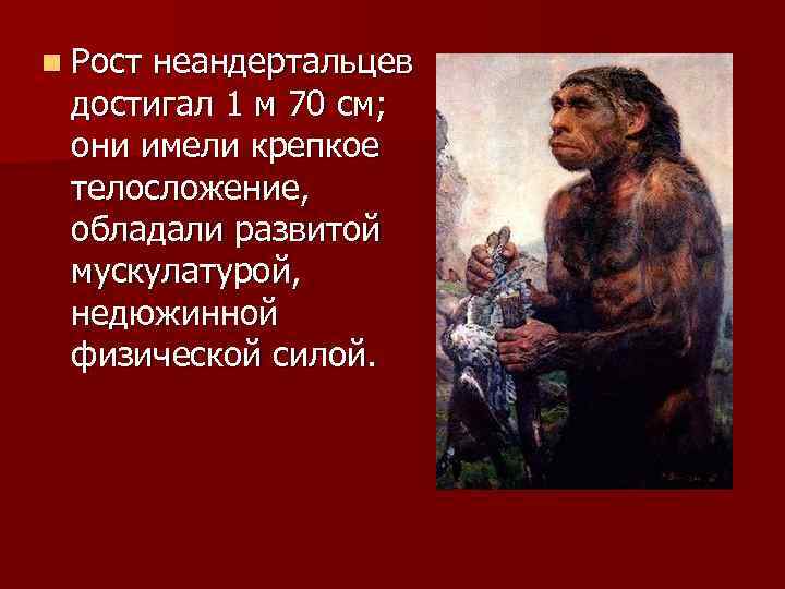 n Рост неандертальцев достигал 1 м 70 см; они имели крепкое телосложение, обладали развитой