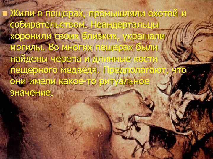 n Жили в пещерах, промышляли охотой и собирательством. Неандертальцы хоронили своих близких, украшали могилы.