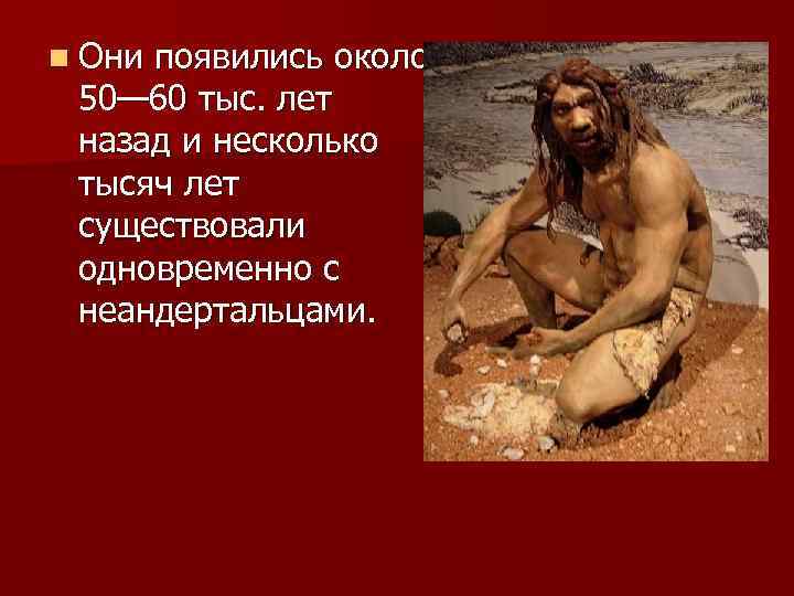 n Они появились около 50— 60 тыс. лет назад и несколько тысяч лет существовали