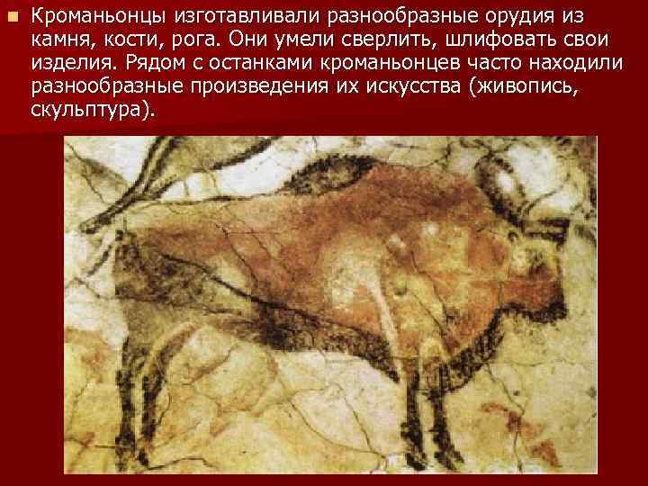 n Кроманьонцы изготавливали разнообразные орудия из камня, кости, рога. Они умели сверлить, шлифовать свои