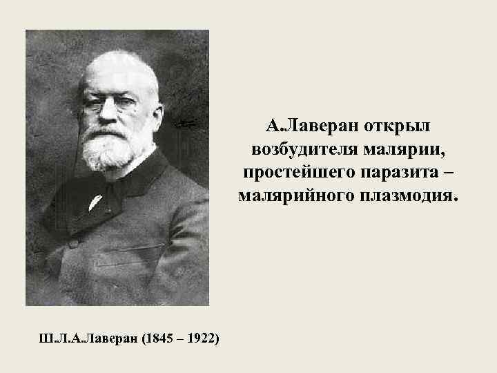 А. Лаверан открыл возбудителя малярии, простейшего паразита – малярийного плазмодия. Ш. Л. А. Лаверан