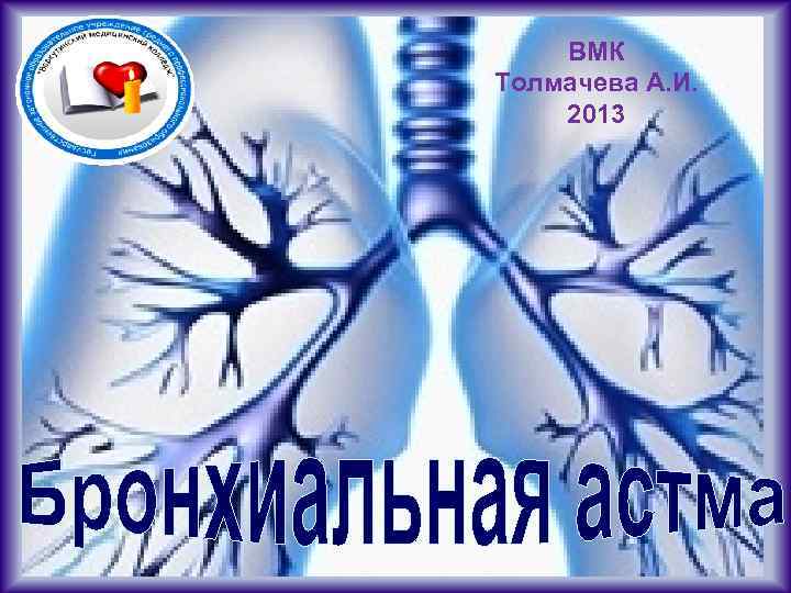 ВМК Толмачева А. И. 2013 