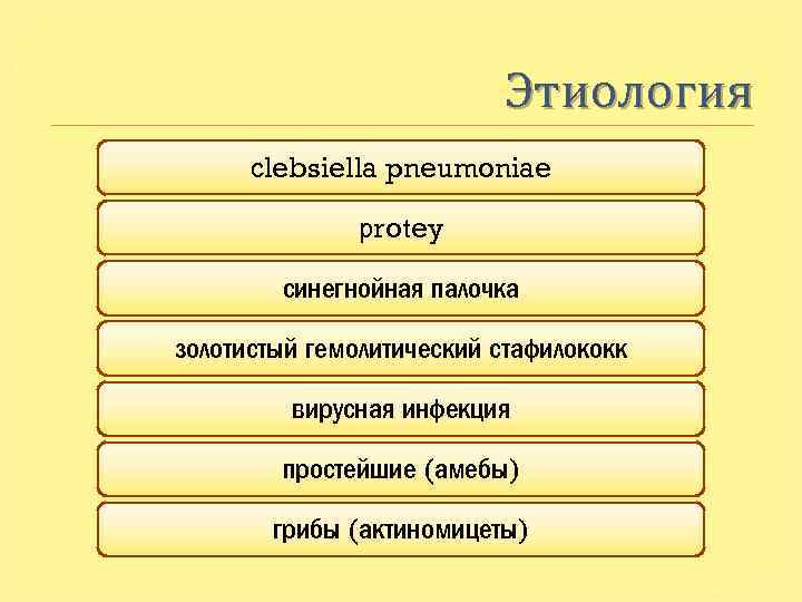 Этиология clebsiella pneumoniae protey синегнойная палочка золотистый гемолитический стафилококк вирусная инфекция простейшие (амебы) грибы